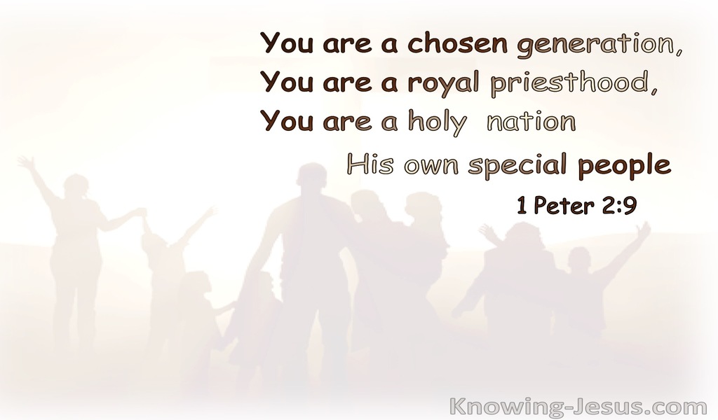 1 Peter 2:9 You Are A Chosen Nation, A Royal Priesthood, A Holy Nation (brown) (white)